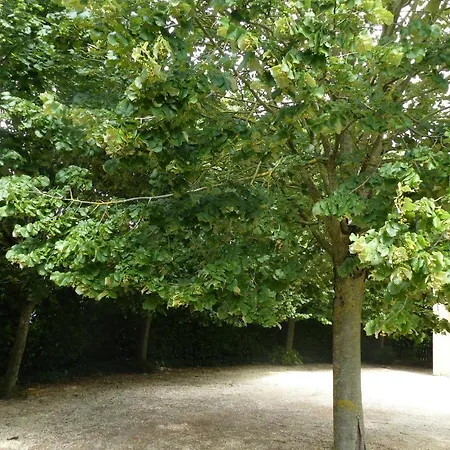 Wood-and-work 4*